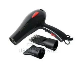 Fakang Professional Hair Blow Dryer With High Power