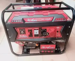 Gasoline Generator 8500 W With Remote