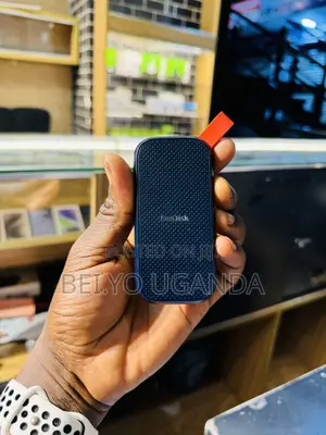 Sandisk Portable SSD