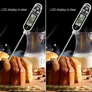 Electric Food Thermometer