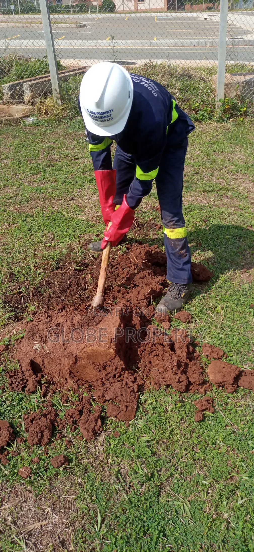 Fumigation and Pest Control Services