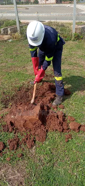 Fumigation and Pest Control Services