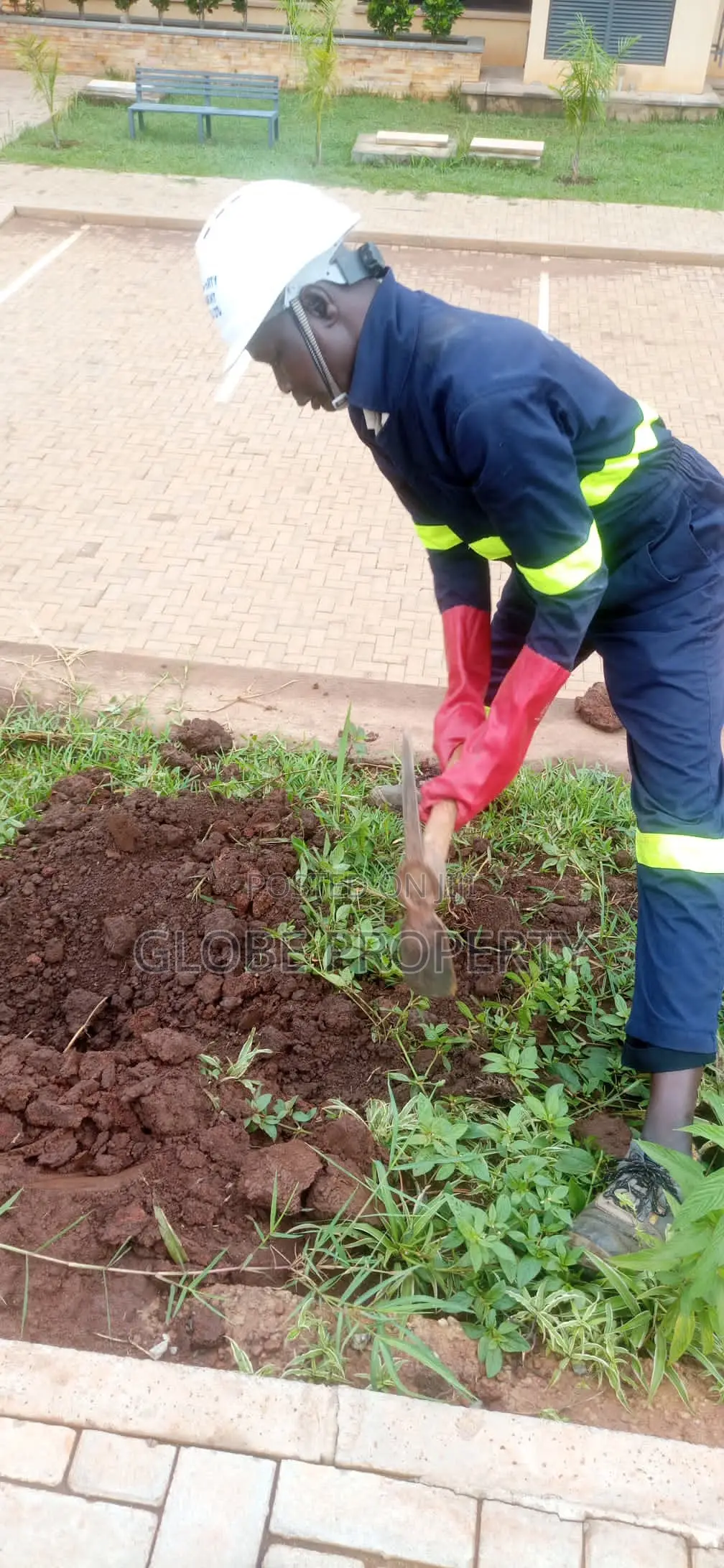 Fumigation and Pest Control Services