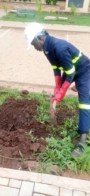 Fumigation and Pest Control Services