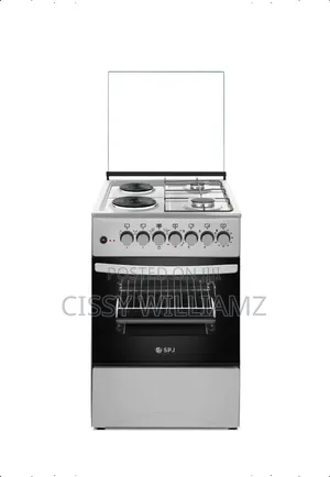 SPJ 2*2 Cooker With Electric Oven/SPJ Cooker 2gas+2 Electric