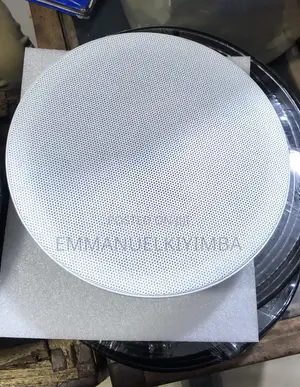 Ceiling Speakers (High End)