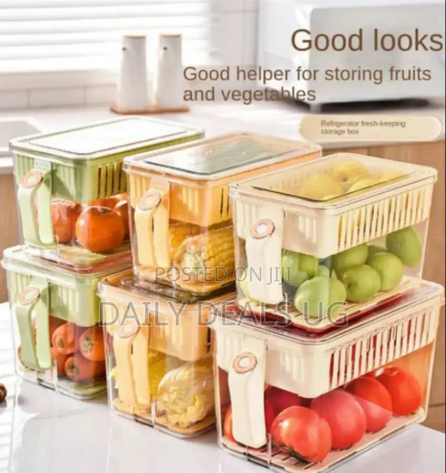 Portable Fridge Storage Containers