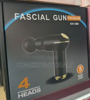 4 Heads Facial Gun/ Massage Gun