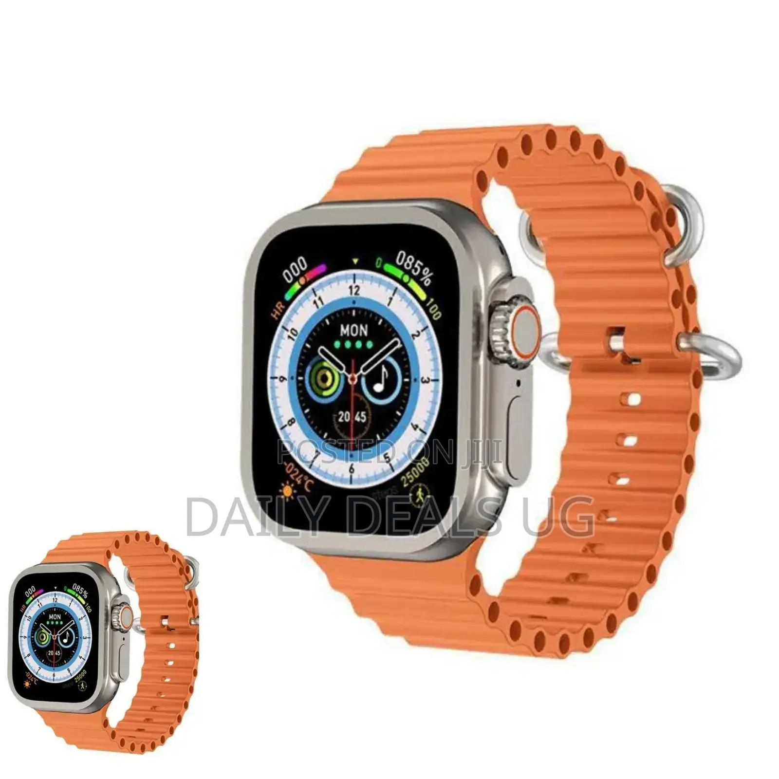 Portable Smart Watch