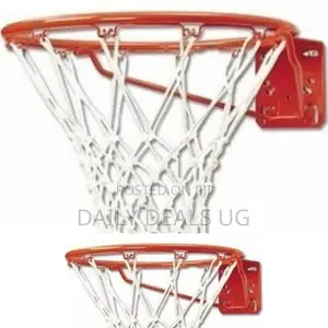 Mounted Basketball Ring