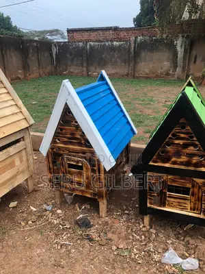 Blue Maltese Puppy House