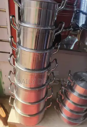 Stainless Cooking Pot