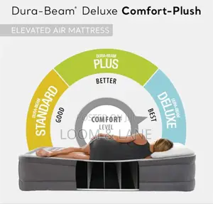 Intex Comfortable Elevated Air Mattress