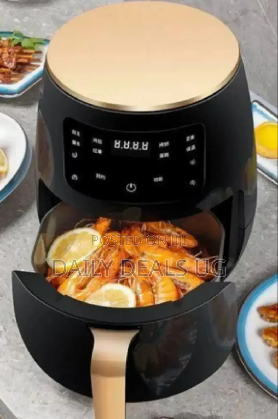 Electric Air Fryer