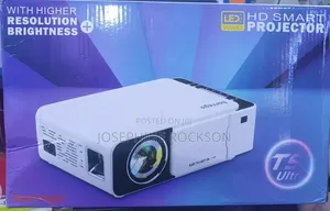 HD Smart Projector Borrego Protector