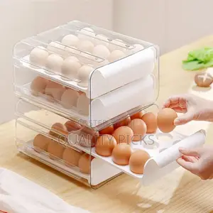 Double Layer Egg Storage Drawer
