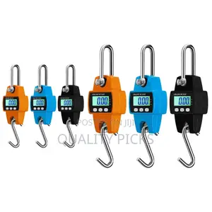 300kg Digital Hanging Scale