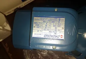 Original Pedrollo Surface Pump Electric 1 Hp