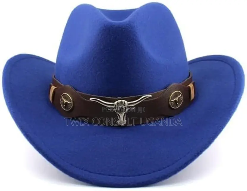 Texas Cow Boy Hats