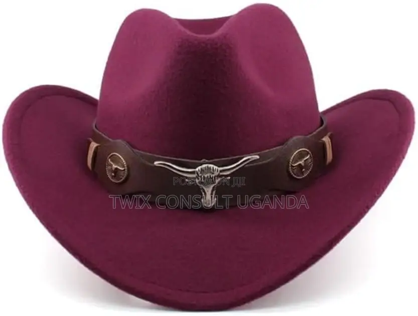 Texas Cow Boy Hats