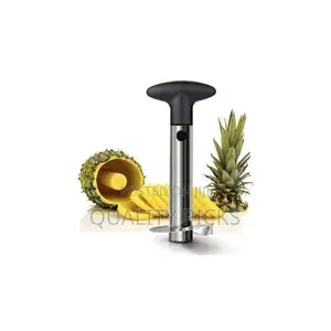 Easy Slice Pineapple Slicer/Peeler and Corer - Silver