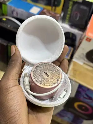 Ewa A103 Mini Portable Thumping Speaker With Case