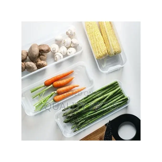 3 Layer Food Storage Fridge Container Boxes- Multicolor