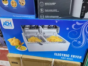 ADH Double Deep Fryer / 12L Electric Fryer