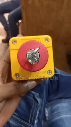 Emergency Switch With Key (Esd) Complete