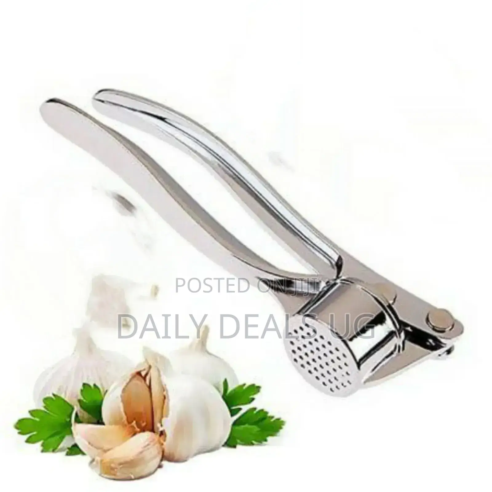 Stainless Garlic Press