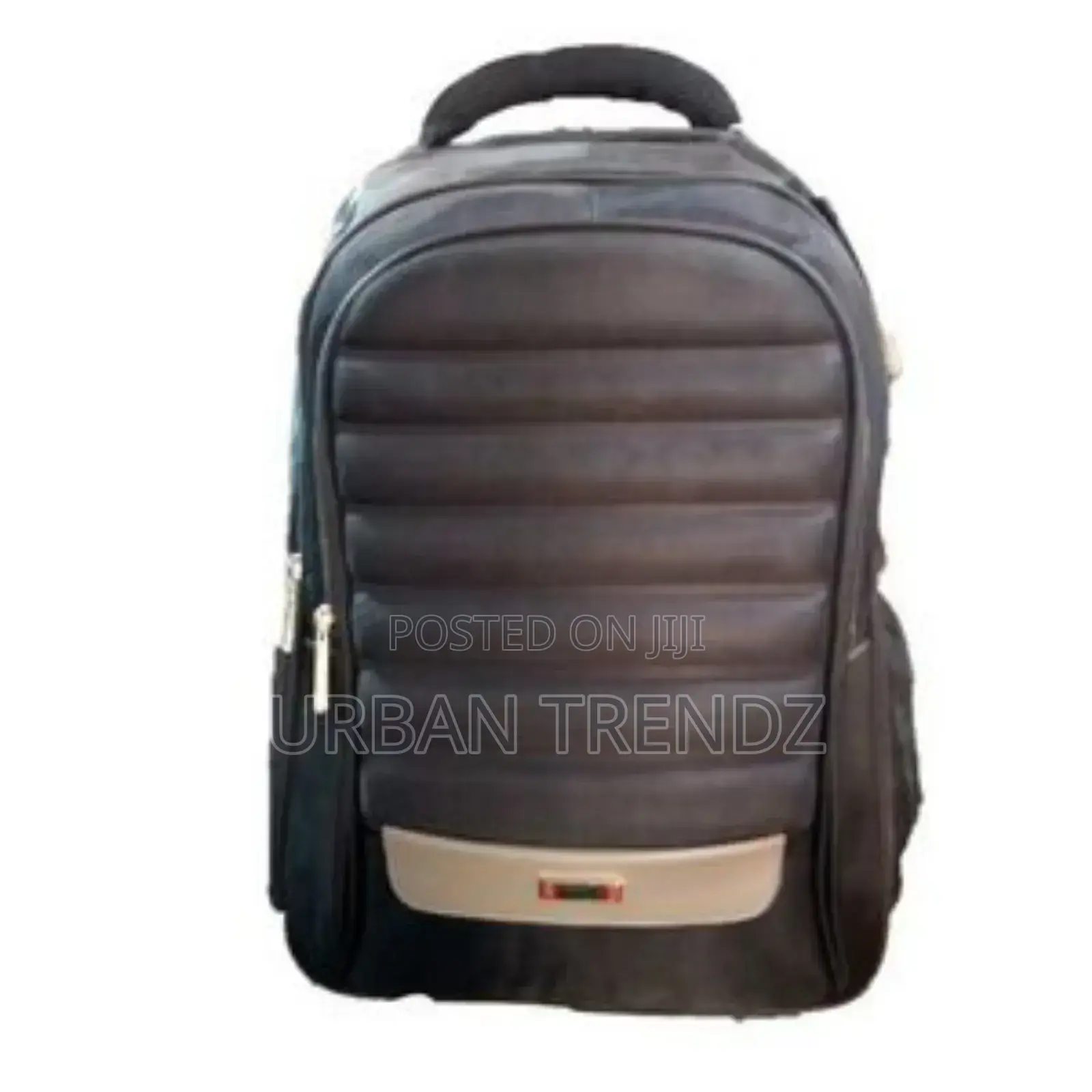 Backpack With a Large Inside Compartment for Your Laptop