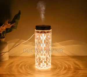 New Dual Intelligent Aromatherapy Humidifier