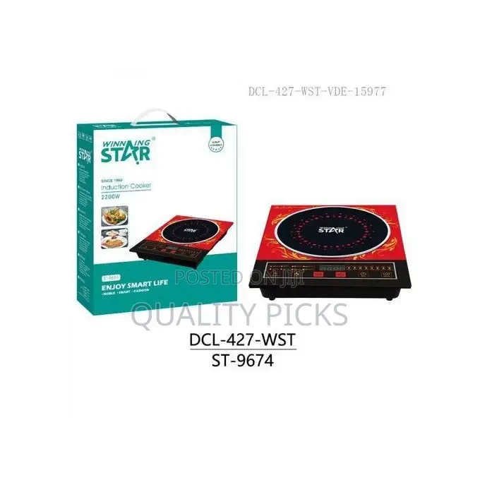 Winningstar Electric Infrared Cooker Single Burner -