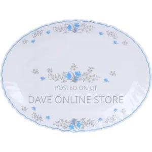 Arcopal 38 PCS Plates Glasses Cups Bowls Saucers Dinnerware