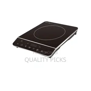 DSP Single Burner Electric Induction Cooker Hot Plate-Black