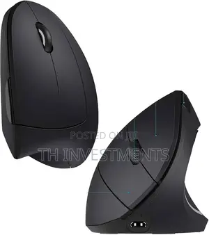 Wireless Fashionable Ergonomic Mouse