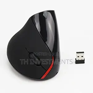 Wireless Fashionable Ergonomic Mouse