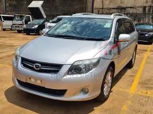 Toyota Corolla Fielder 2011 Silver