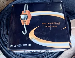 300kg Crane Scale( Digital)