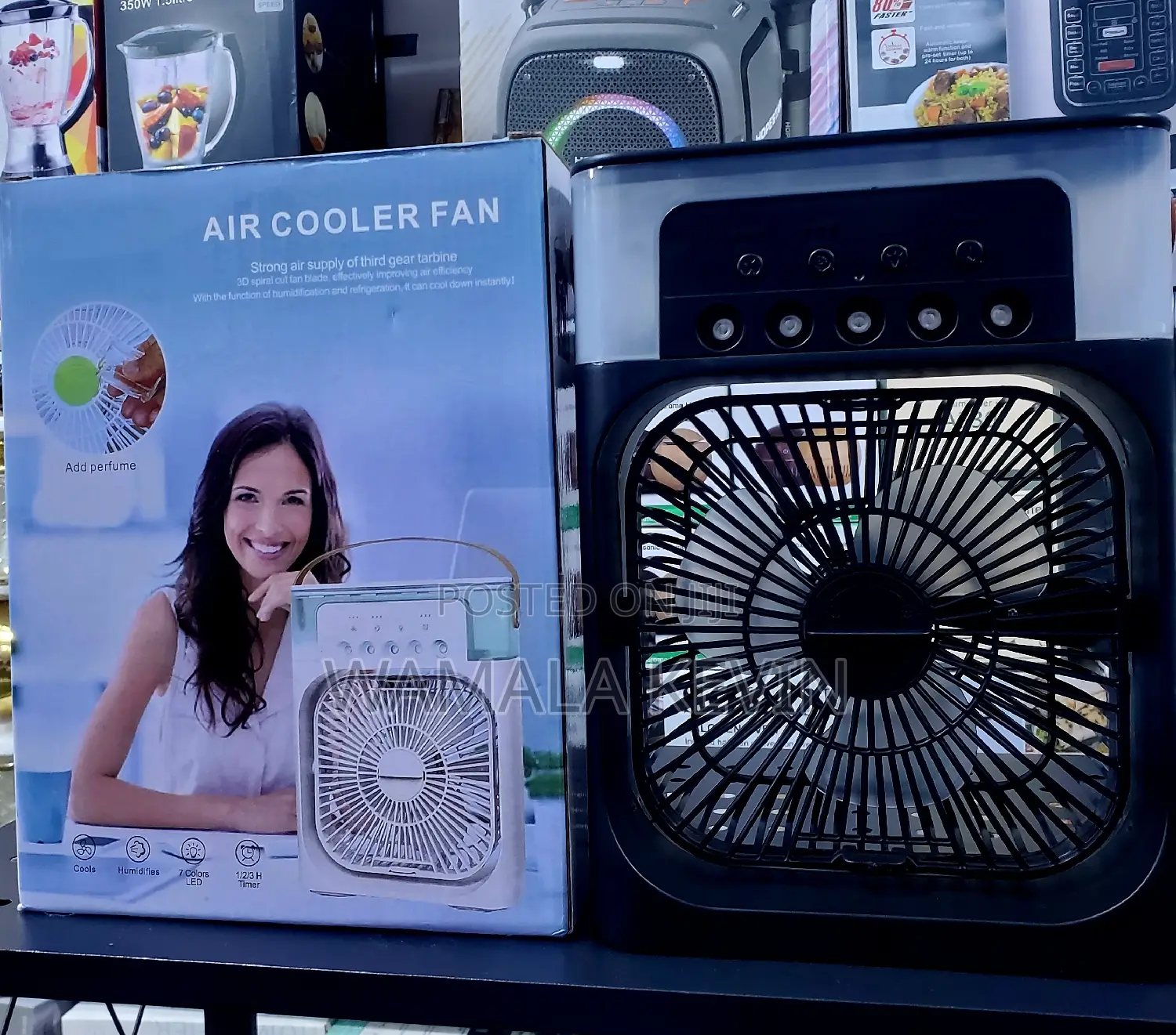 Mini Misting Fan Humidifier
