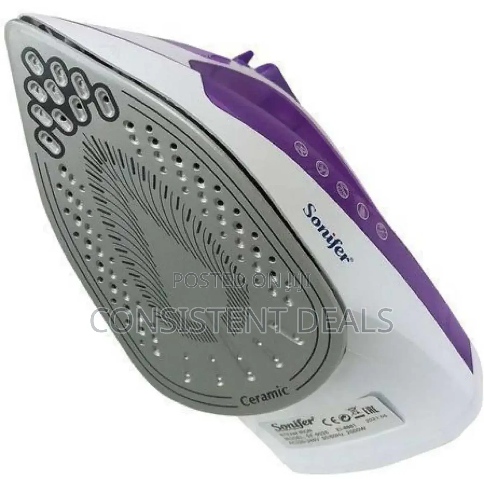 Electric Steam Flat Iron