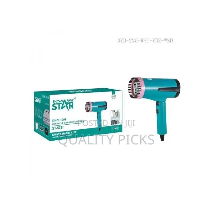 Winning Star Portable Automatic Ironing Steam Brush,Blue