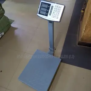 Industrial Weigh Scale Platform Balance Weigh Digital Weighing Scale