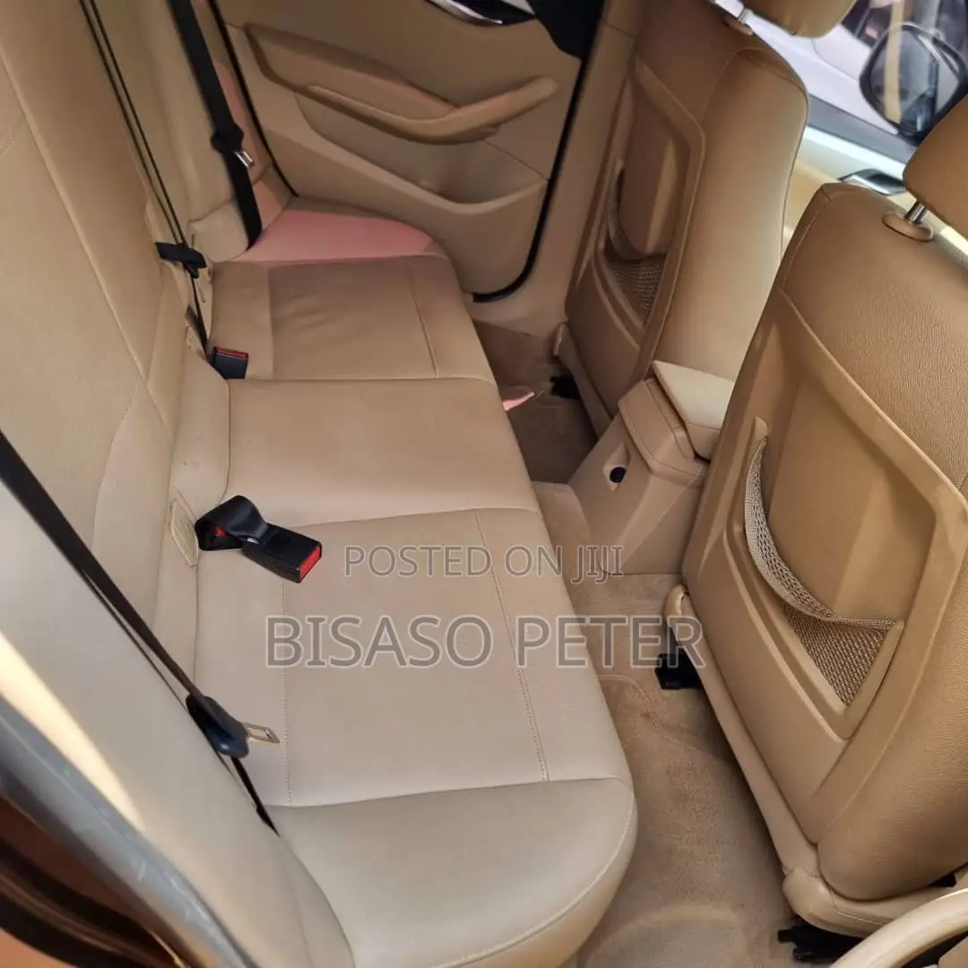 BMW X1 2010 Brown