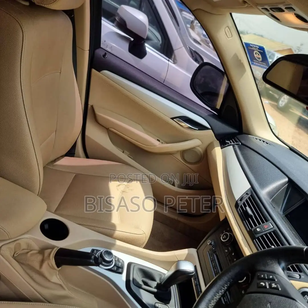 BMW X1 2010 Brown