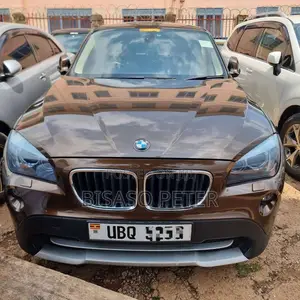 BMW X1 2010 Brown