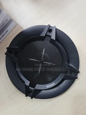 Car Door Speakers (Sony)