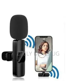 Portable Wireless Microphone
