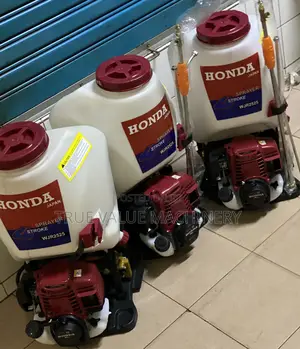 Power Sprayers 4 Stroke Heavy Duty