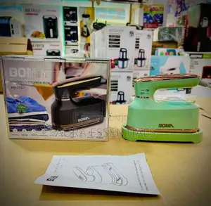 Portable BM -2102 Imported Handheld Dry and Steam Iron